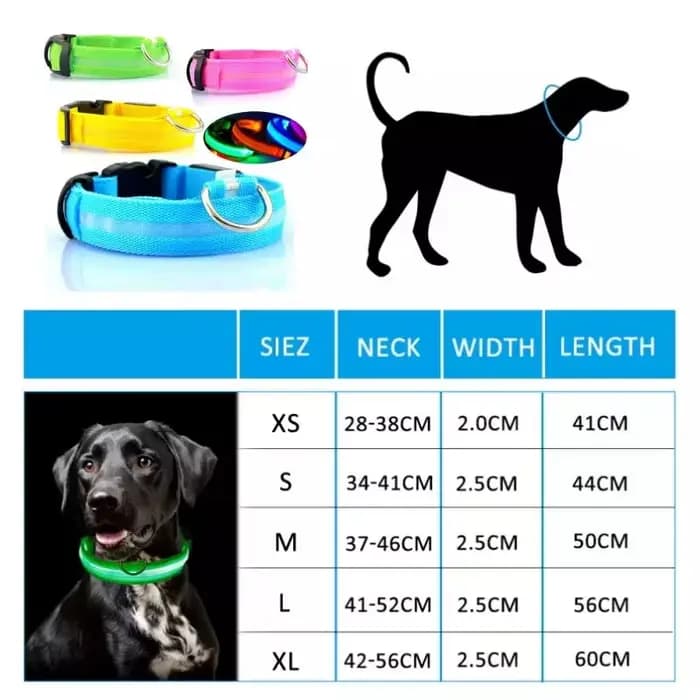 Collier lumineux LED réglable pour chien, rechargeable par USB, clignotant, anti-perte/anti-collisio