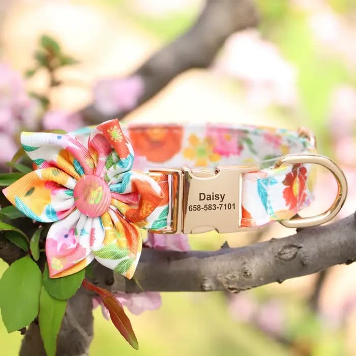 Collier de chien personnalisé imprimé pour fille avec nœud papillon floral, plaque d'identification