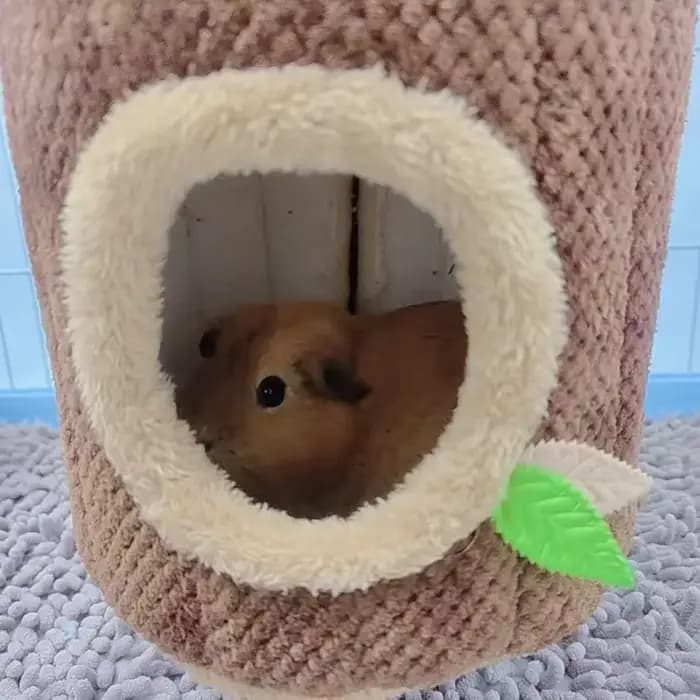 Hamac chaud en forme de souche d'arbre pour Hamster, Tunnel de taupe d'hiver, lit suspendu pour peti