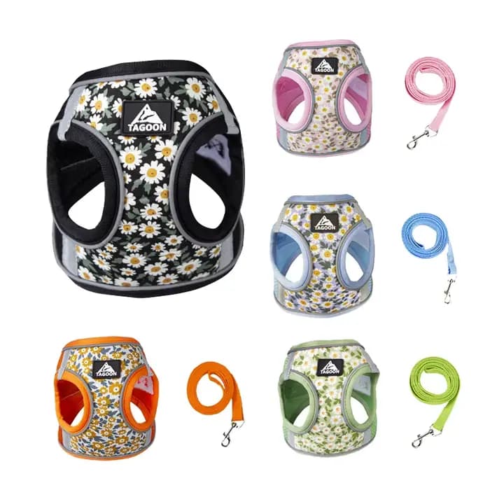 Harnais et laisse en maille de Nylon pour chat, harnais respirant pour chaton, petit chien, chiot, b