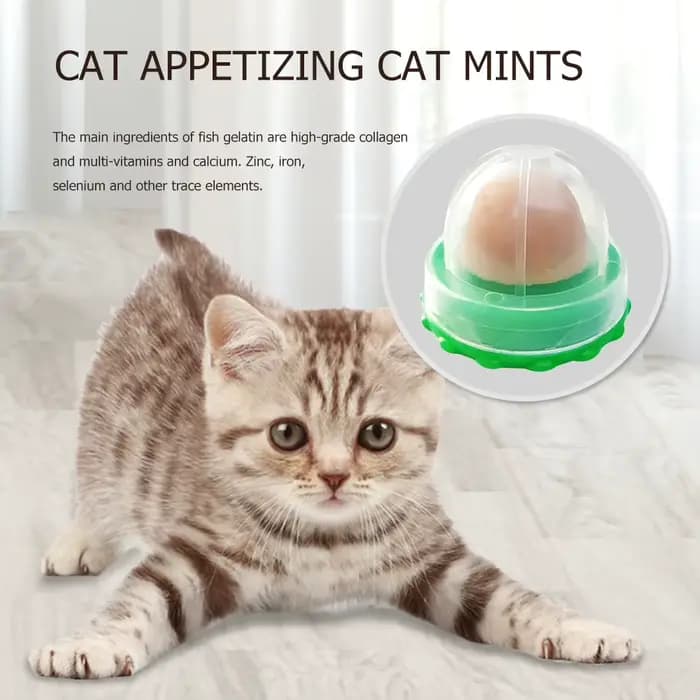 Bonbons léchant l'herbe à chat pour chaton, augmentation du sucre, boule d'énergie potable, collatio