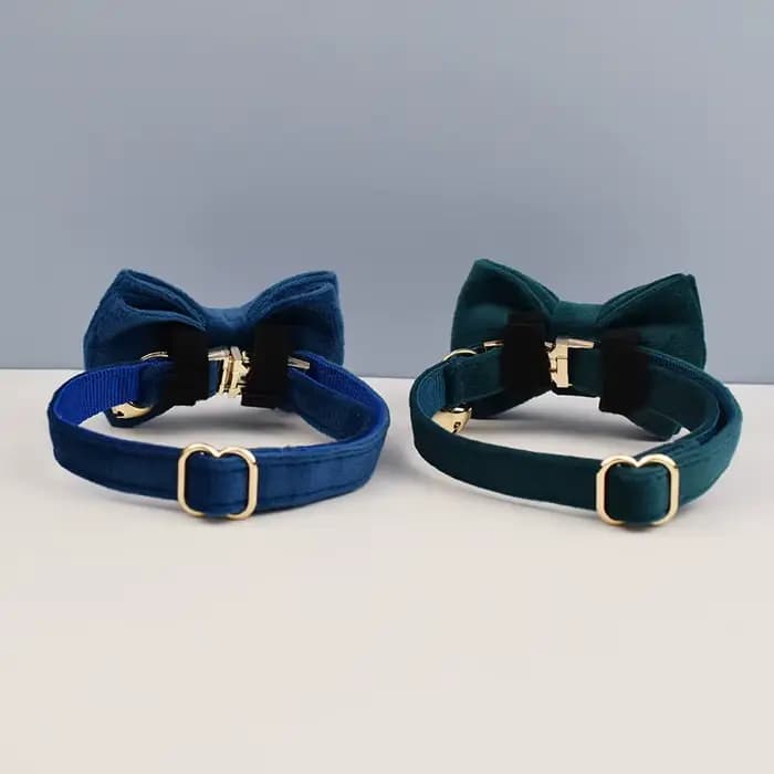 Collier pour chat mignon avec nœud papillon, collier personnalisé pour chat avec clochette, gravure,