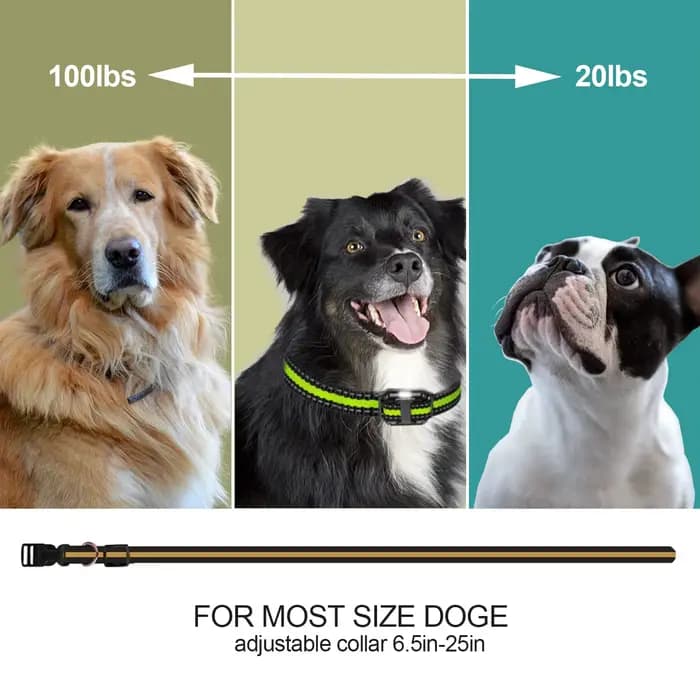 Collier de choc intelligent pour chien, collier de dressage pour chien avec télécommande, innovant,