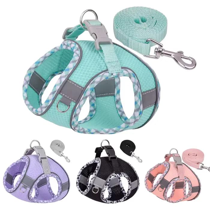 Ensemble harnais et laisse pour chien, pince de marche en plein air, pour petits et moyens chiens, C