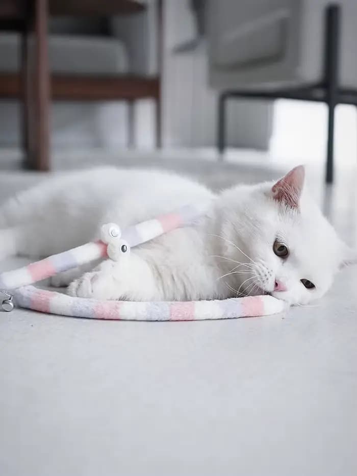 Jouet pour chat plume chat Teaser baguette chat jouet interactif drôle chenille coloré tige Teaser b