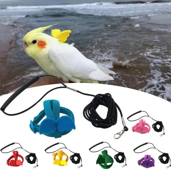 Harnais pour oiseaux à câble Long, laisse Anti-morsure, corde d'entraînement décorative légère pour