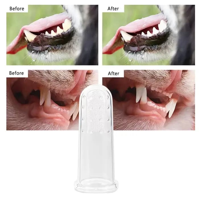 Brosses à dents en silicone pour chat et chien, outils pour animaux de compagnie, remodelage de la m