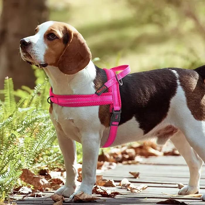 Harnais réfléchissant en maille et Nylon pour chien, gilet sans traction avec poignée de contrôle ra