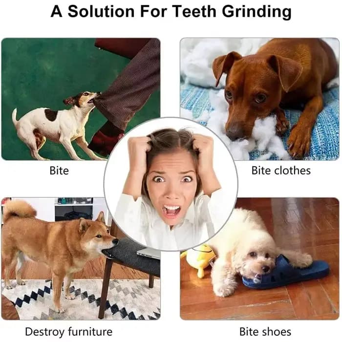 Balle de jouet pour chien, boule de jouet non toxique résistante aux morsures pour chiens de compagn