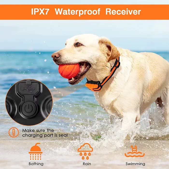 Collier Électrique d'Entraînement pour Chien, Étanche, avec Télécommande, Rechargeable, avec Son de