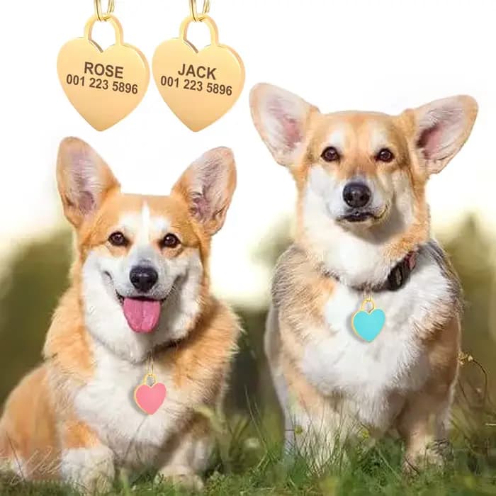 Étiquette d'identification personnalisée pour chien et chat, strass scintillants, étiquettes nominat