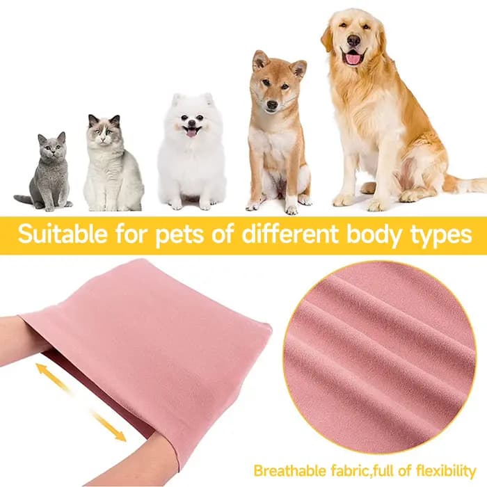 Protège-oreilles pour animaux de compagnie, protège les oreilles des chats et des chiens, anti-anlan