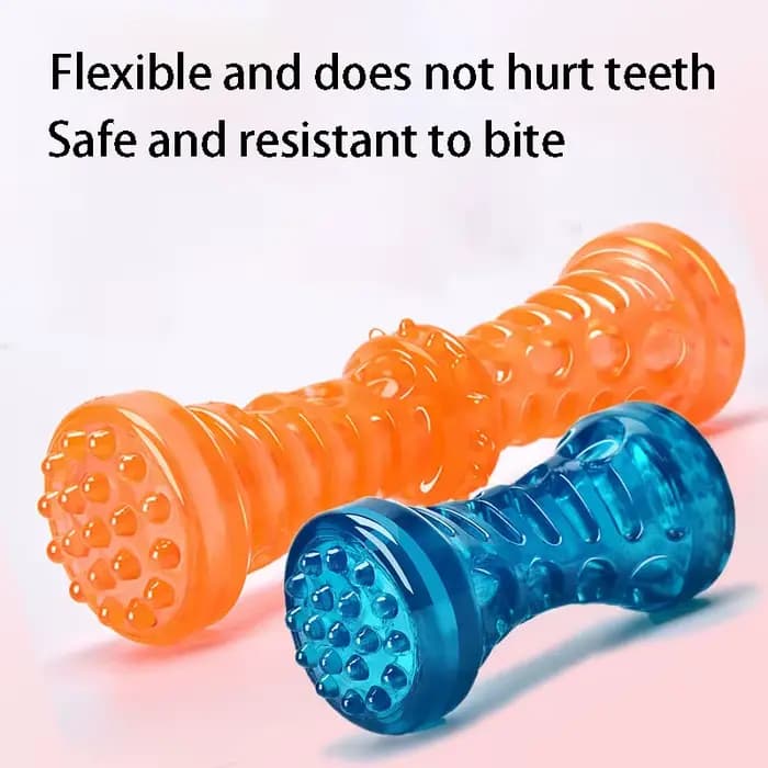 Résistant aux morsures jouet pour animaux de compagnie brosse à dents os robuste chien jouet interac