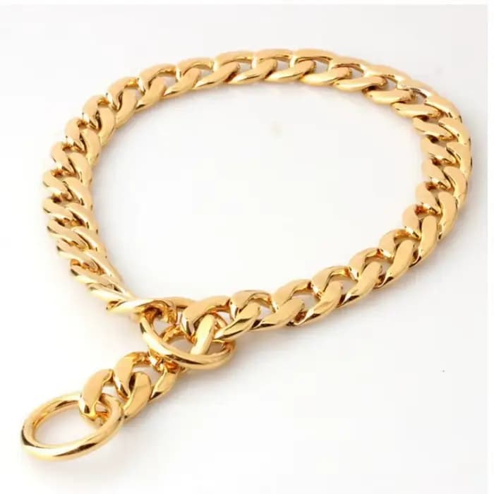 Collier de luxe pour chien, chaîne dorée pour Pitbull, Bulldog, Teddy, Bouledogue Français, collier