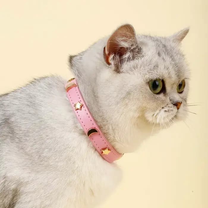 Collier de chat mignon en cuir souple, colliers pour animaux de compagnie pour petit chien chaton ch