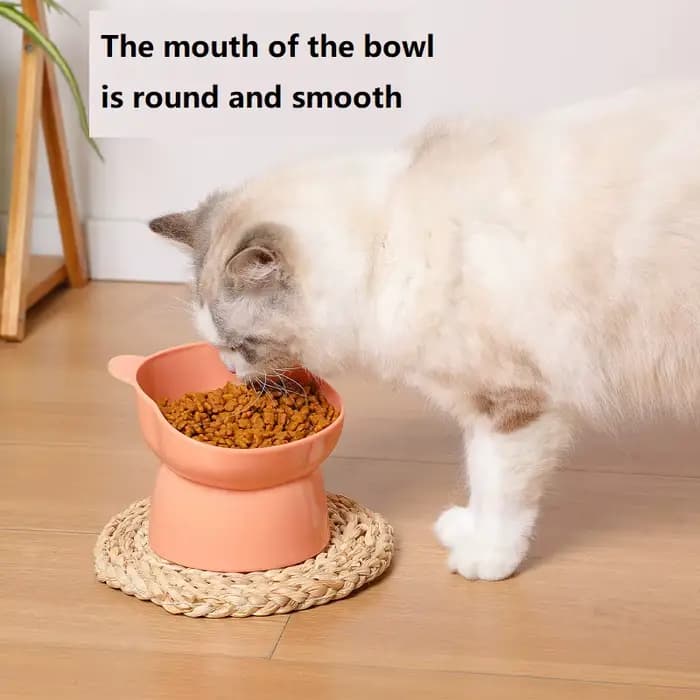 Nouvelles bols surélevés pour chat, mangeoire et abreuvoir sans Stress avec Base, Anti-vomissement,