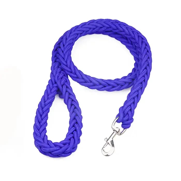 Harnais en Nylon pour chiens de taille moyenne et grande, laisse pour l'entraînement des animaux de
