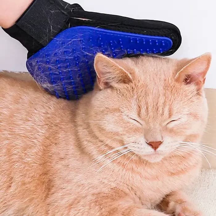Pet Hair Remover Gants Chat Chien Massage Baignade Nettoyage Toilettage Fournitures Silicone Cheveux