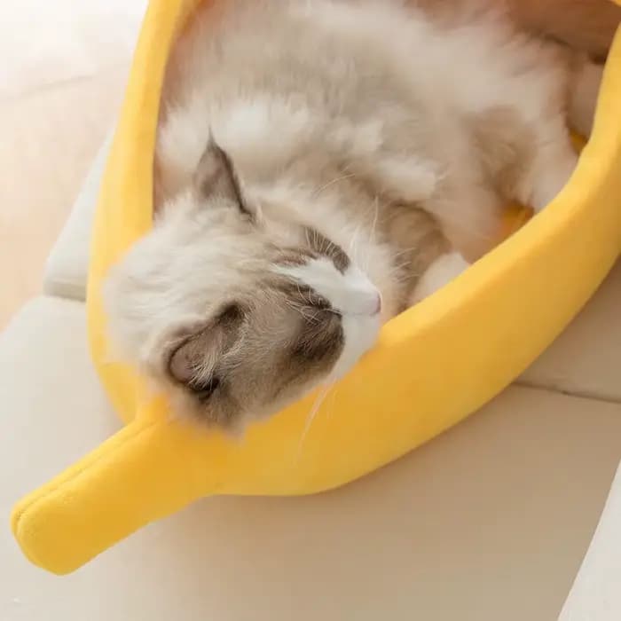 Lit d'hiver pour chat banane, maison drôle et confortable, tapis pour chat, chaud et Durable, panier