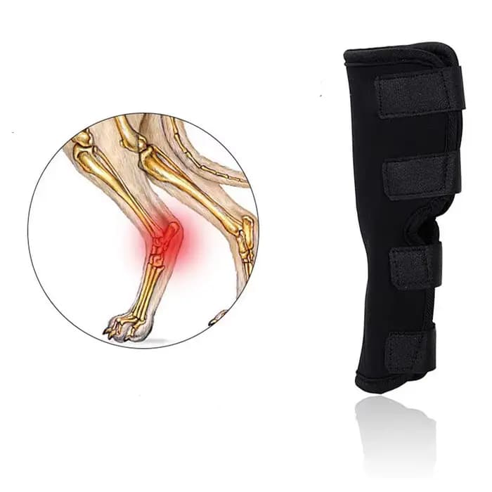 Bandages pour chiens de compagnie blessure pour chiens jambe genouillère sangle de Protection pour c