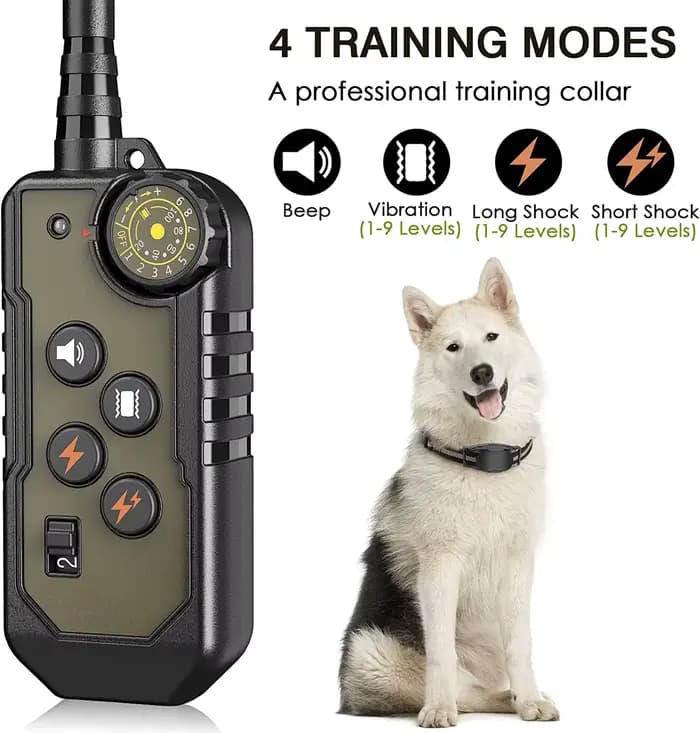 Collier de dressage électrique pour chien, télécommande, étanche, arrêt des aboiements pour chien de