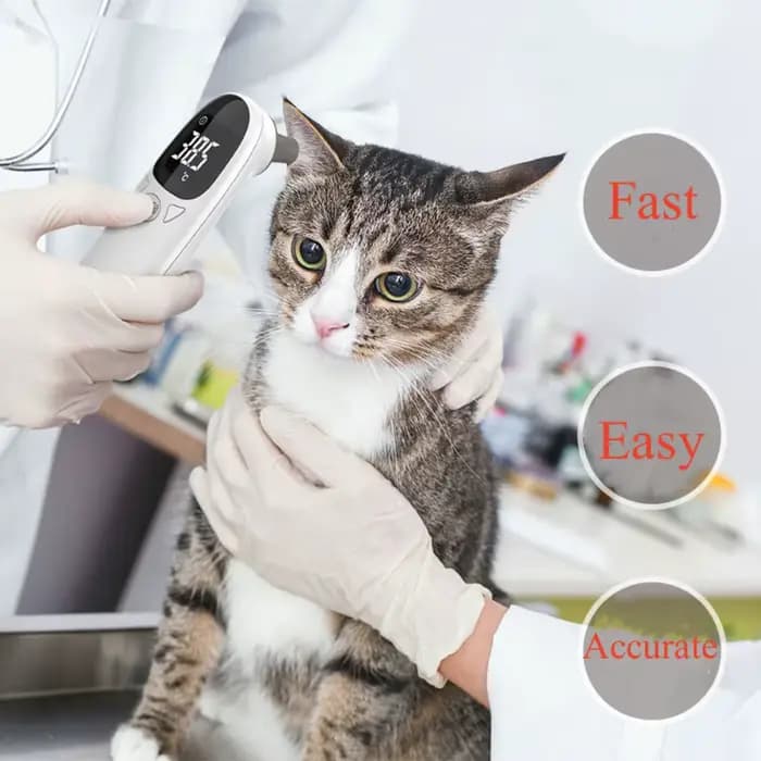 Thermomètre infrarouge pour animaux de compagnie, chien, chat, mesure médicale des animaux, électron