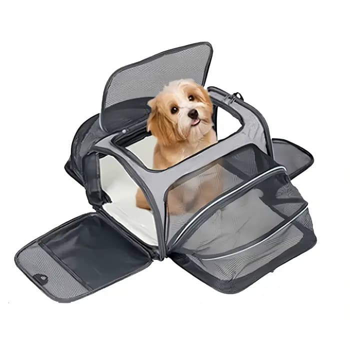 Sac de transport pour animaux de compagnie pliable petit chien Charter transportant chat sac d'exten