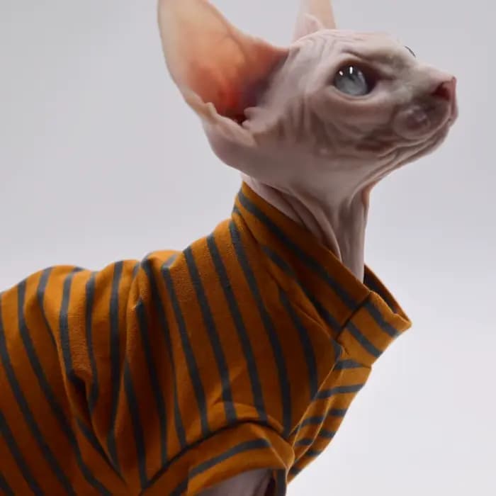 Vêtements d'été en coton respirant pour chat sans poils, glaçure fine pour Sphynx,Devon Rex ,Cornish