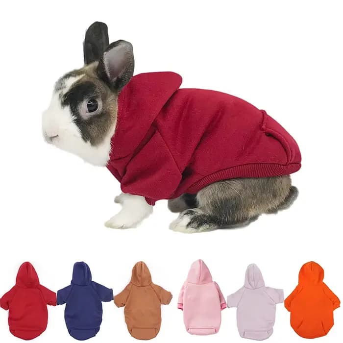 Pull chaud pour animaux de compagnie, automne et hiver, poche lapin, vêtements à deux pattes, Lapin,