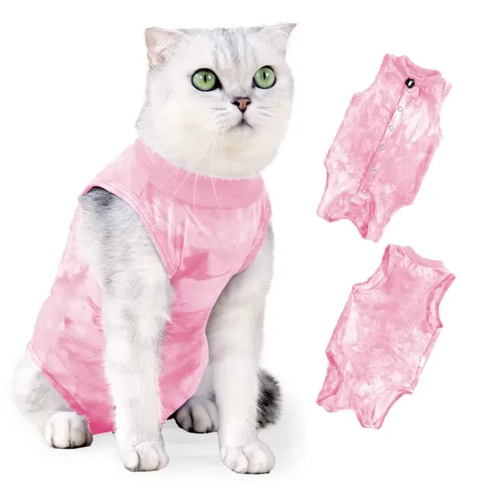 Glaçage de stérilisation pour chats de petite et moyenne taille, proporanti-léchage, soins de récupé