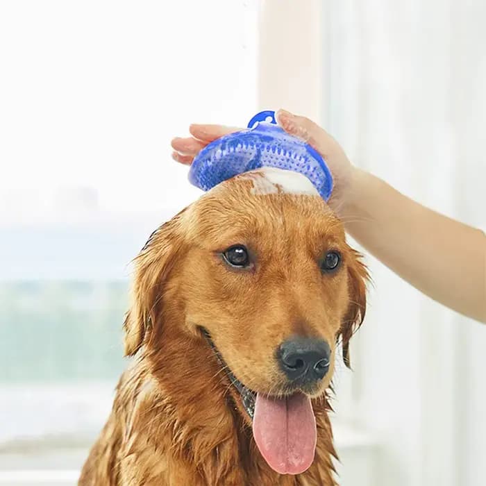 Brosse de bain en caoutchouc souple pour chien et chat, gant en caoutchouc, brosse de Massage pour t