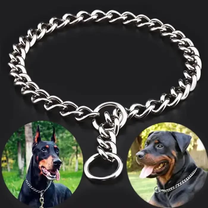 Collier chaîne serpent pour animaux de compagnie, collier d'étouffement pour chien en acier inoxydab