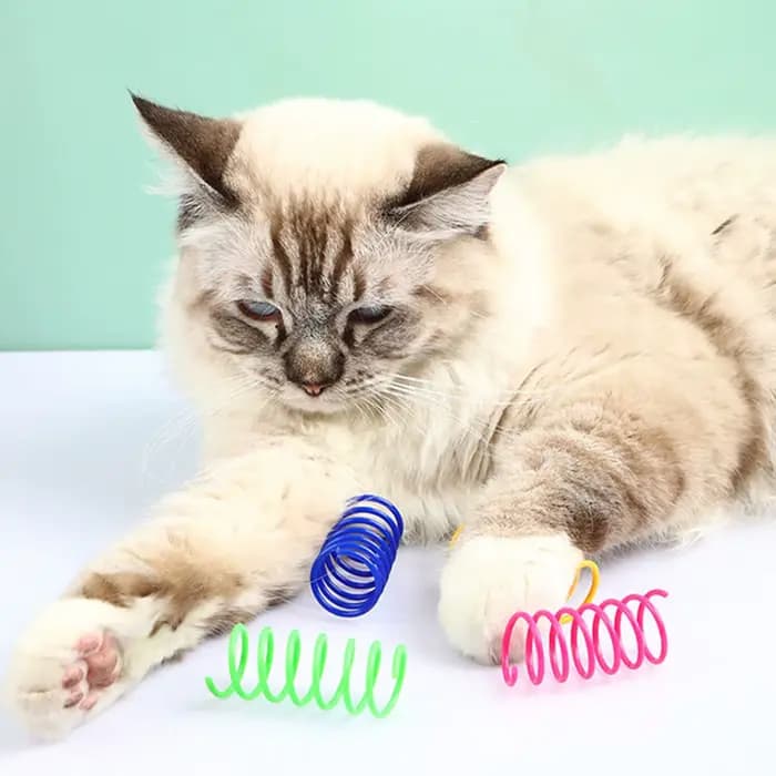 16/32/80 pièces chat printemps jouets coloré chaton bobine spirale ressorts jouet Durable en plastiq