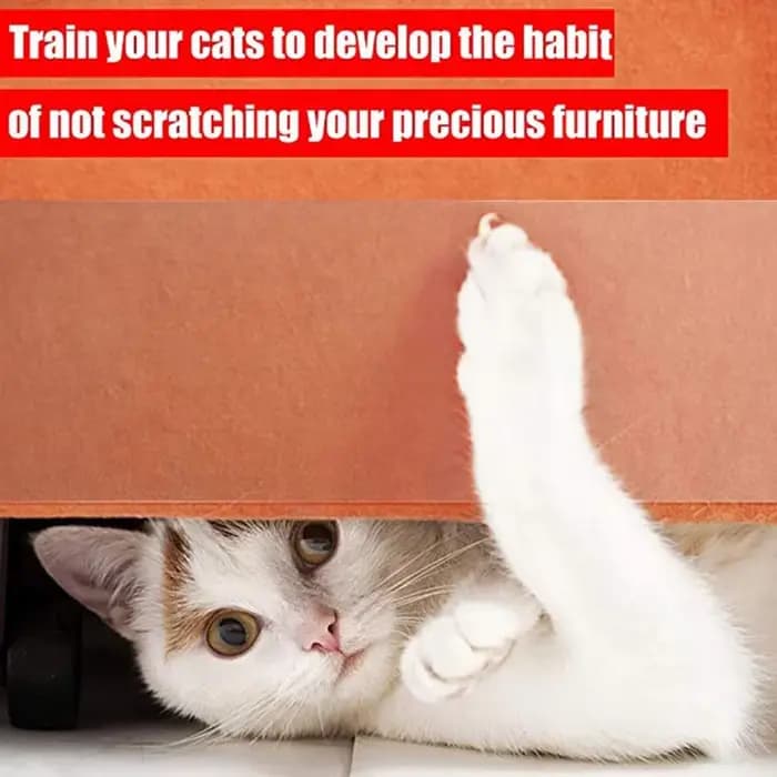 Bande d'entraînement pour chats, 3/10M, dissuasion des rayures, transparente, auto-adhésive, pour ch