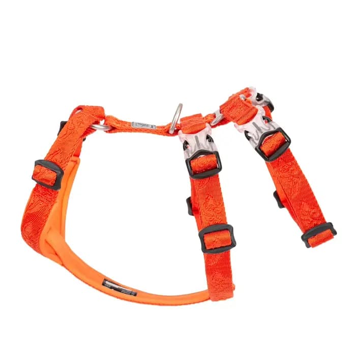 Winhyepet harnais pour chien sangle pour animaux de compagnie gilet réglable Triple Anti-évasion voy