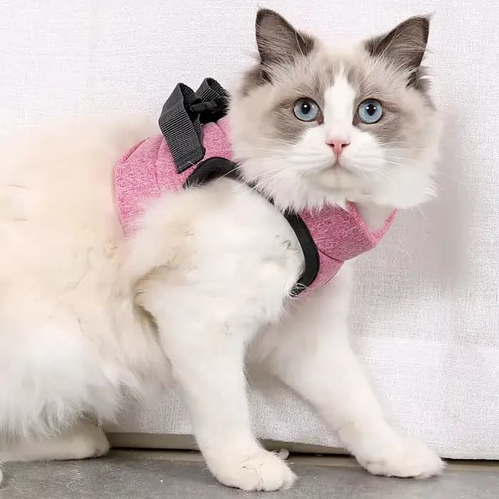 Harnais et laisse pour chat, pour la marche, anti-évasion, gilet souple, bandes réfléchissantes resp