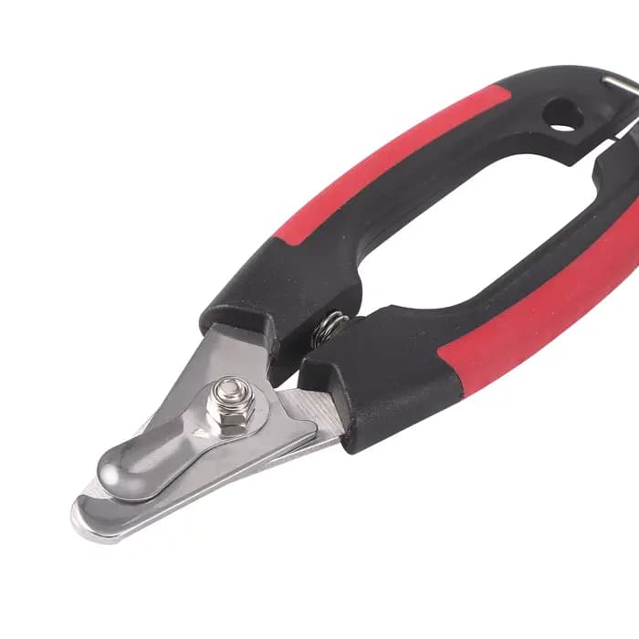 Coupe-ongles pour oiseaux en acier inoxydable, outil de toilettage pour perroquets, taille en option