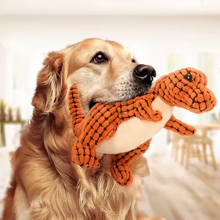 Jouets de dinosaure en peluche pour animaux de compagnie, chats et chiens, jouets interactifs à mâch