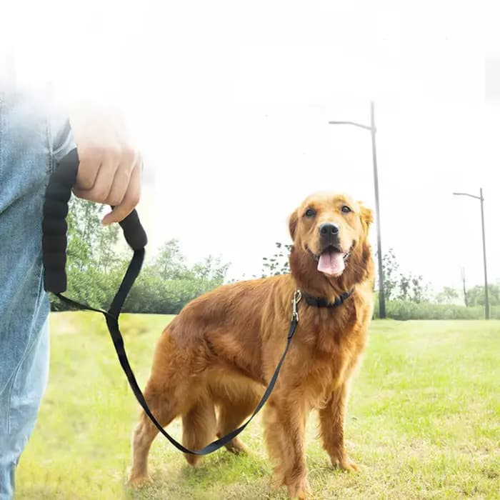 Laisse longue en nylon avec poignée en éponge confortable pour chiens, lanière d'entraînement en ple