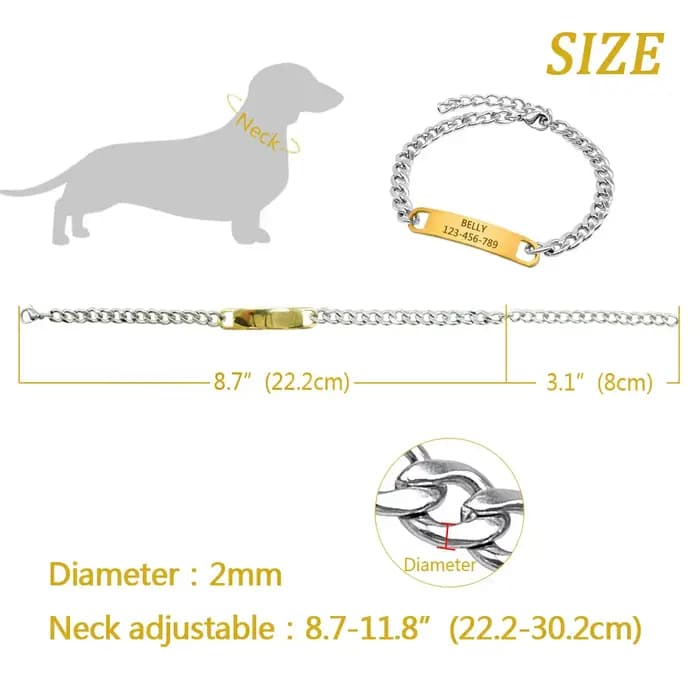 Collier chaîne personnalisé pour chat, gravure gratuite, chiot, chaton, plaque signalétique, collier