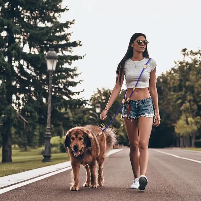 Laisses doubles polyvalentes pour chiens de taille moyenne, 210cm, réglables et en Nylon, mains libr