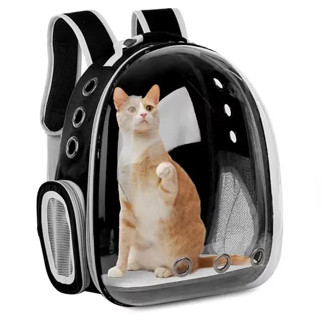 Sac de Transport pour animaux de compagnie, sacs à dos spatiaux pour animaux de compagnie, respirant