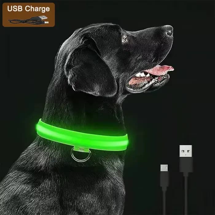 3 Modes chien collier de Charge lumineux Led Usb chat chiens colliers détachable nuit Led lueur chie