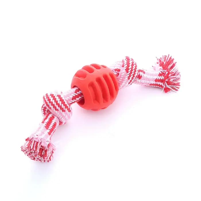 Jouet pour chien, corde en coton, boule à double nœud, résistant aux morsures, jouet de nettoyage de