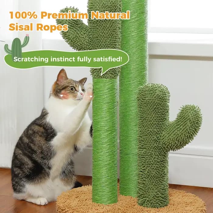 Arbre à chats cactus pour chats d'intérieur, grand griffoir avec 3 poteaux en sisal, balle suspendue