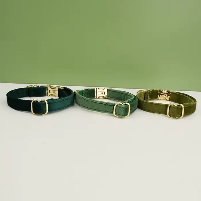 Collier de chat en velours avec nœud papillon, personnalisé pour chats, fournitures pour chats, cein
