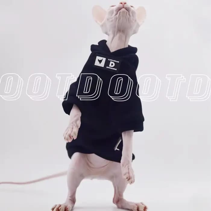 DUOMASUMI Sweat à capuche pour chat pour races sans poils – Pull tendance printemps/automne pour Sph