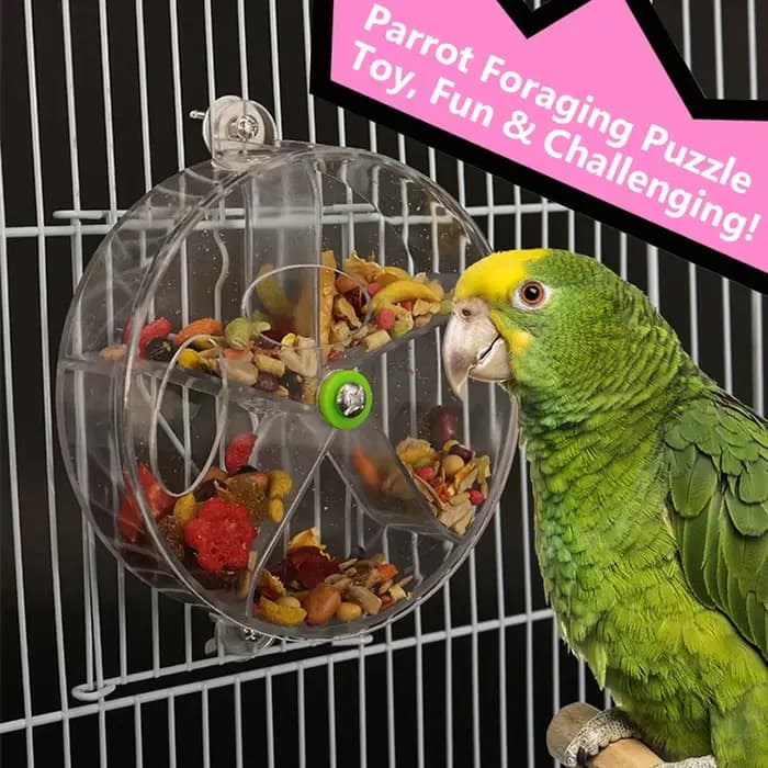 Jouets pour perroquets rotatifs pour animaux de compagnie, roues, morsure à mâcher, boîte alimentair