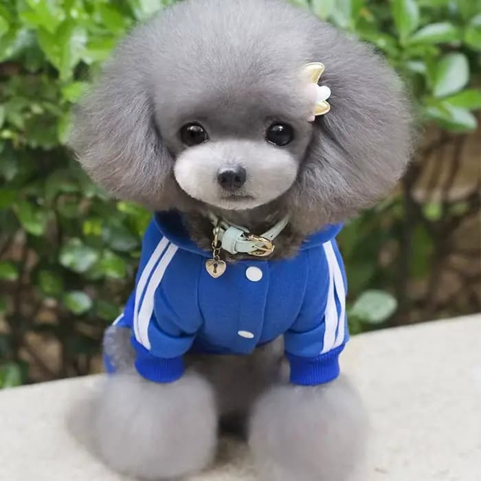 Adidog vêtements pour chiens salopette épaisse pour chiens, vêtements d'hiver pour petits chiens chi