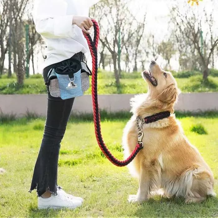 Pochette d'alimentation Portable en plein air pour chien, sacs d'entraînement portables pour chien,